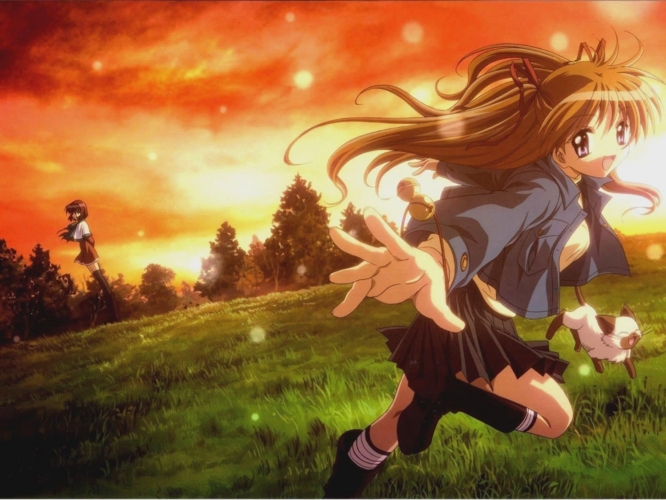 f:id:LiongHMD:20090513222911j:image