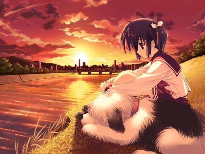 f:id:LiongHMD:20090720233225j:image