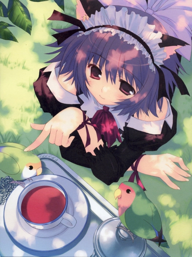 f:id:LiongHMD:20091106213231j:image