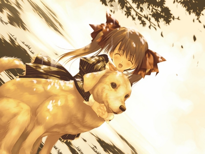 f:id:LiongHMD:20120911005341j:image
