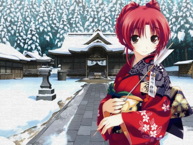 f:id:LiongHMD:20140101235620j:image