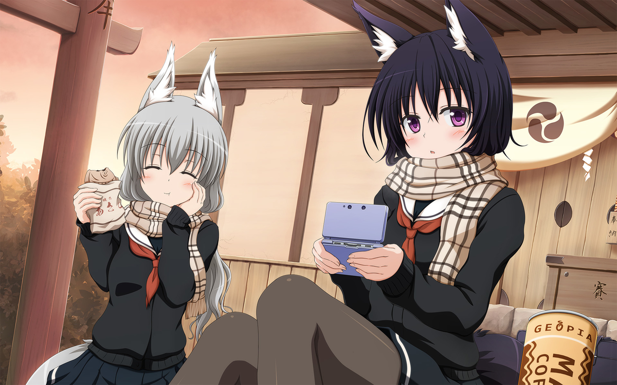 f:id:LiongHMD:20140111231036j:plain