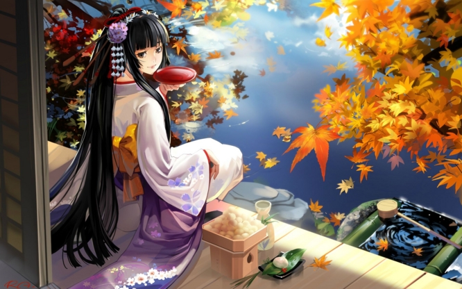 f:id:LiongHMD:20170131224958j:image