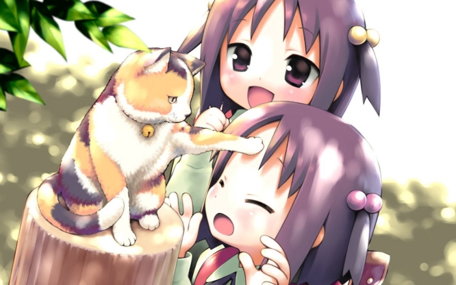 f:id:LiongHMD:20170314232735j:image