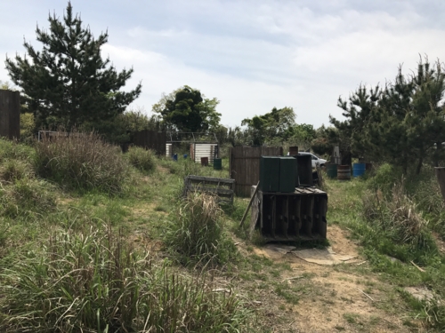 f:id:LiongHMD:20170503123551j:image