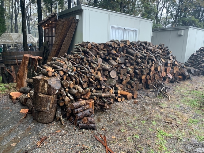 f:id:LiongHMD:20191124081530j:image