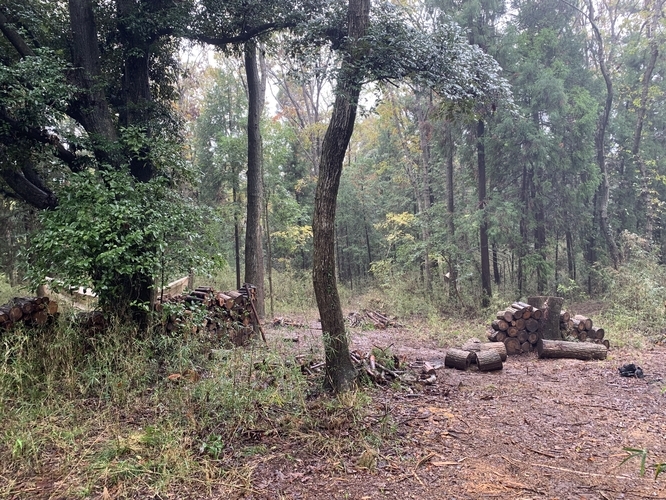 f:id:LiongHMD:20191124083744j:image