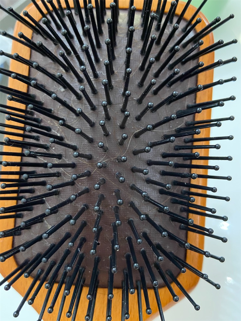 f:id:Lisausa:20210316112014j:image f:id:Lisausa:20210316112014j:image