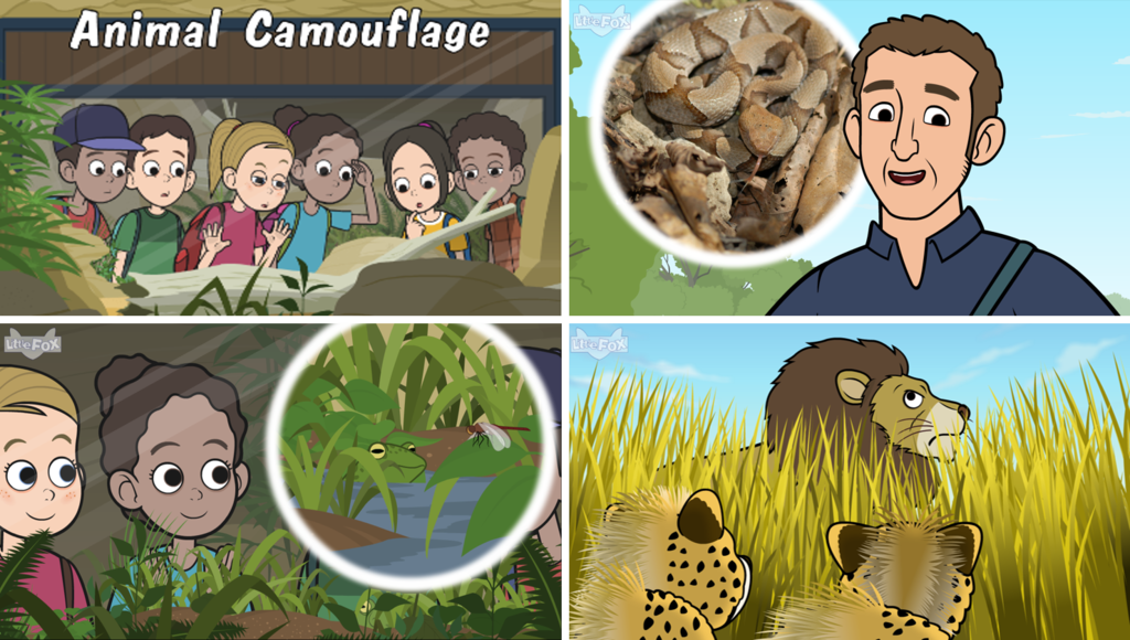 短編童話 Animal Camouflage いきものの保護色について学ぼう Little Fox 公式ブログ 短編童話 Animal Camouflage いきものの保護色について学ぼう Little Fox 公式ブログ