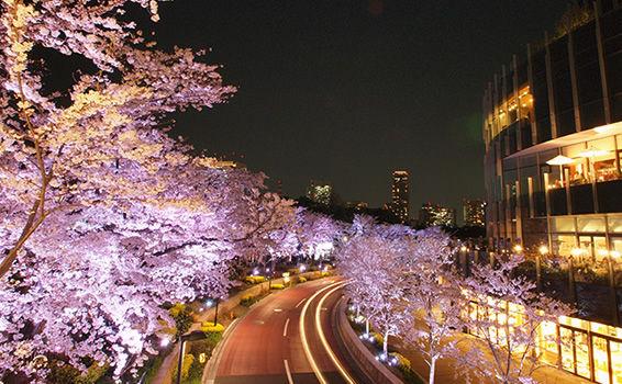 f:id:LittleandPretty:20170402020039j:plain f:id:LittleandPretty:20170402020039j:plain