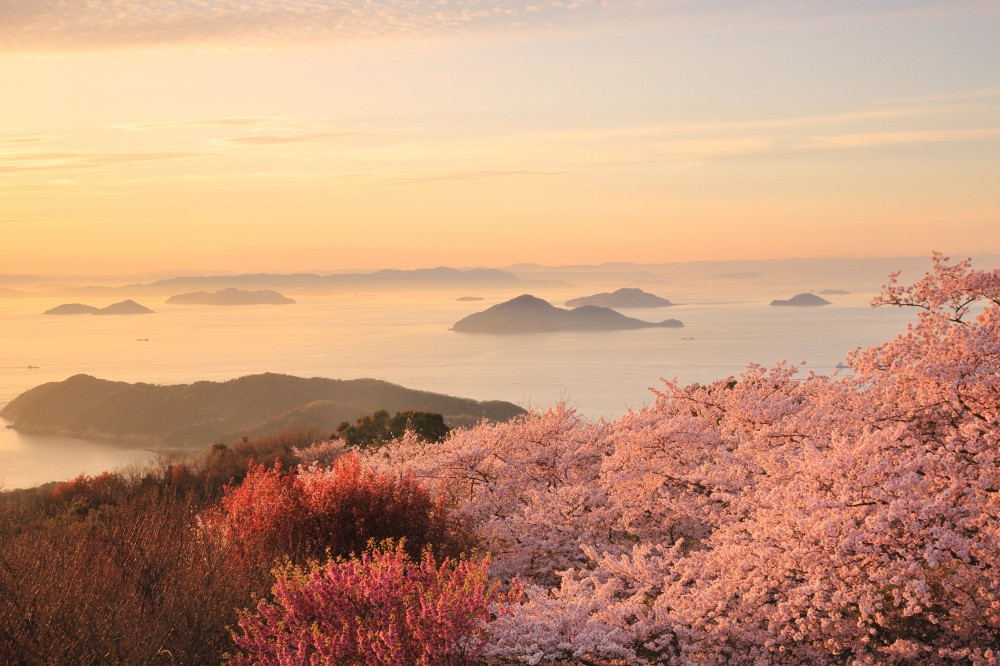 f:id:LittleandPretty:20170402114619j:plain f:id:LittleandPretty:20170402114619j:plain