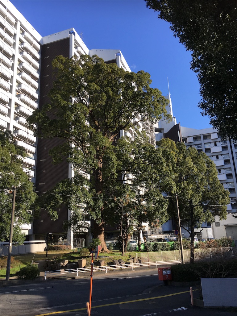 f:id:Littledogman:20180126212901j:image f:id:Littledogman:20180126212901j:image