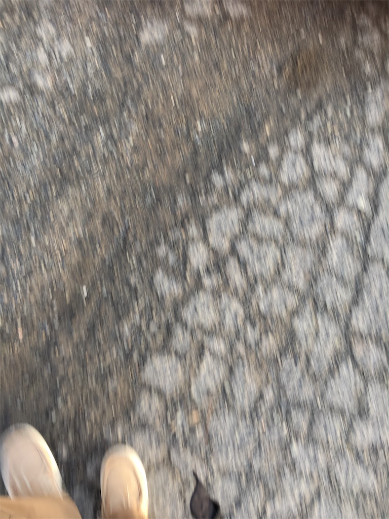 f:id:Littledogman:20180201192044j:image f:id:Littledogman:20180201192044j:image