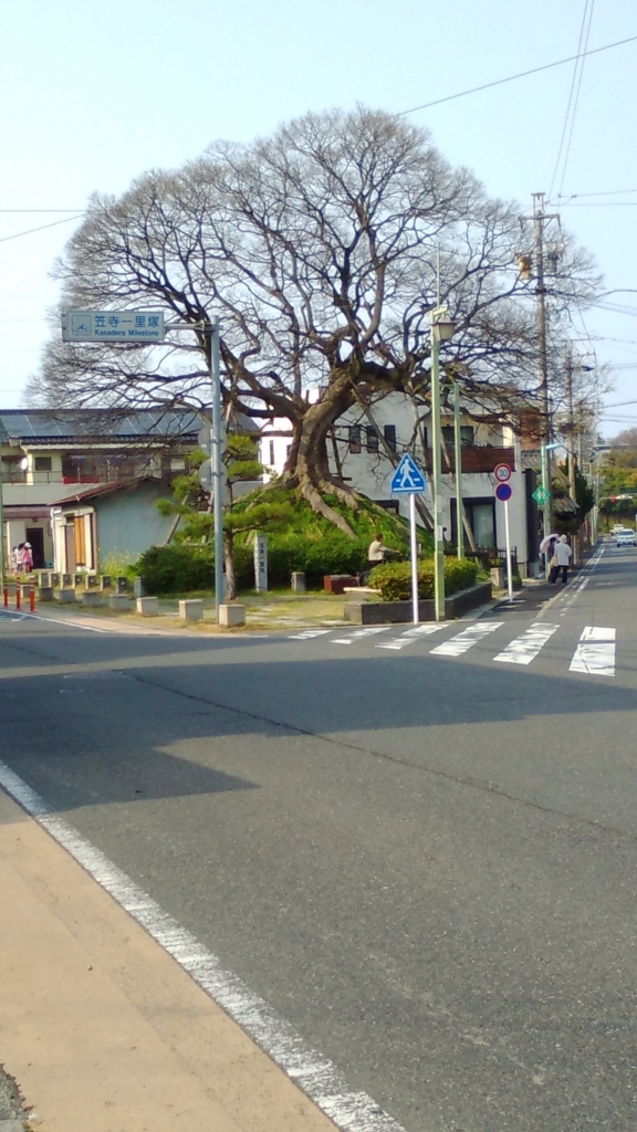 f:id:LiuG:20180610185204j:plain f:id:LiuG:20180610185204j:plain