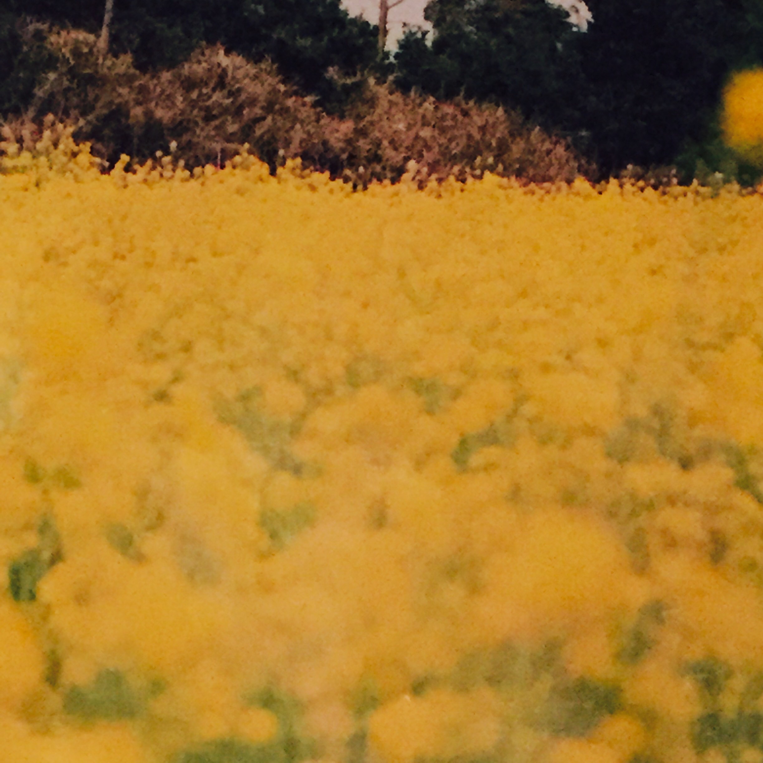 f:id:LobLoy:20150129071035j:plain f:id:LobLoy:20150129071035j:plain