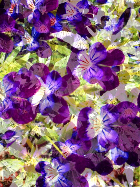 f:id:LobLoy:20150603195942j:image f:id:LobLoy:20150603195942j:image