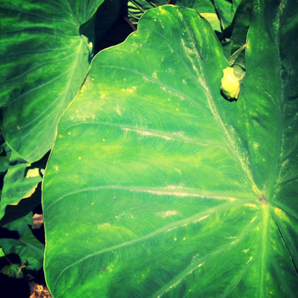 f:id:LobLoy:20150831234522j:image f:id:LobLoy:20150831234522j:image