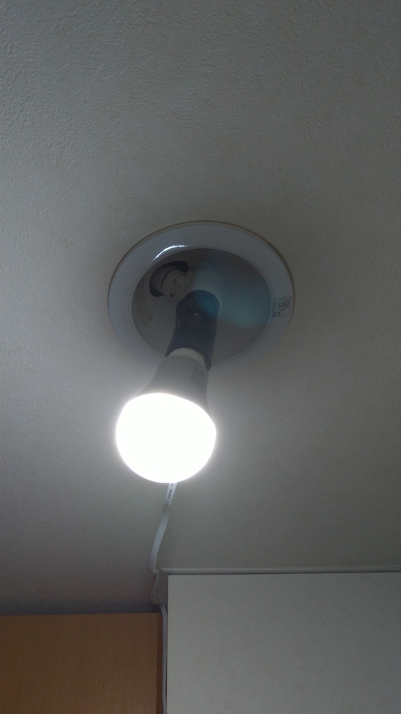 f:id:LocaQ:20190120233421j:plain:w400
