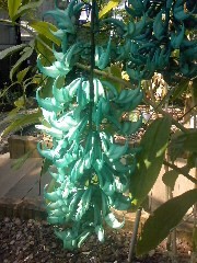 f:id:Loco:20090327112449j:image
