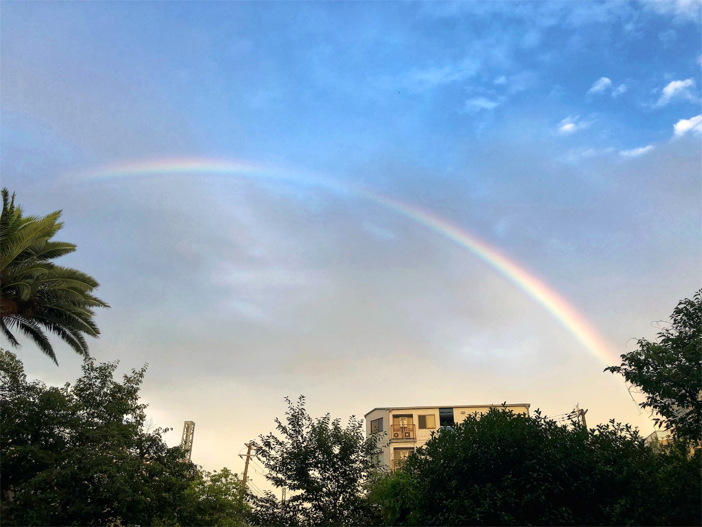 f:id:Locola:20190728234913j:image