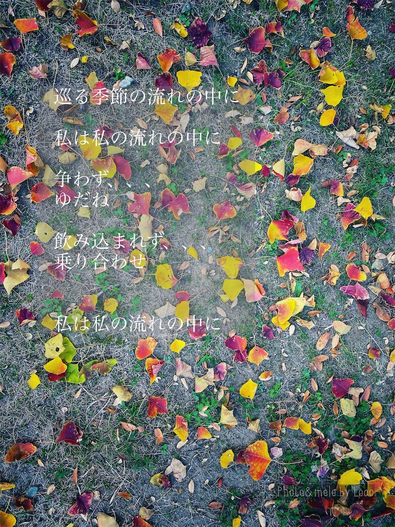 f:id:Locola:20201116162310j:plain
