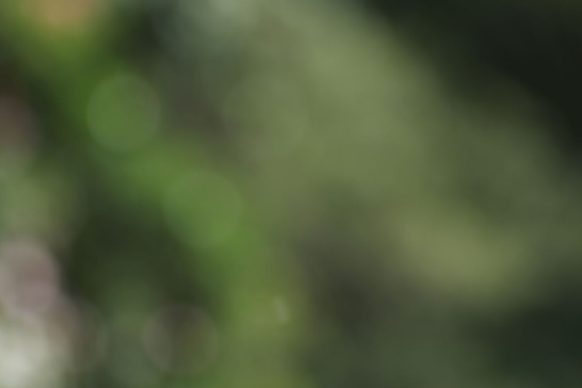 f:id:Locola:20210612001815j:plain