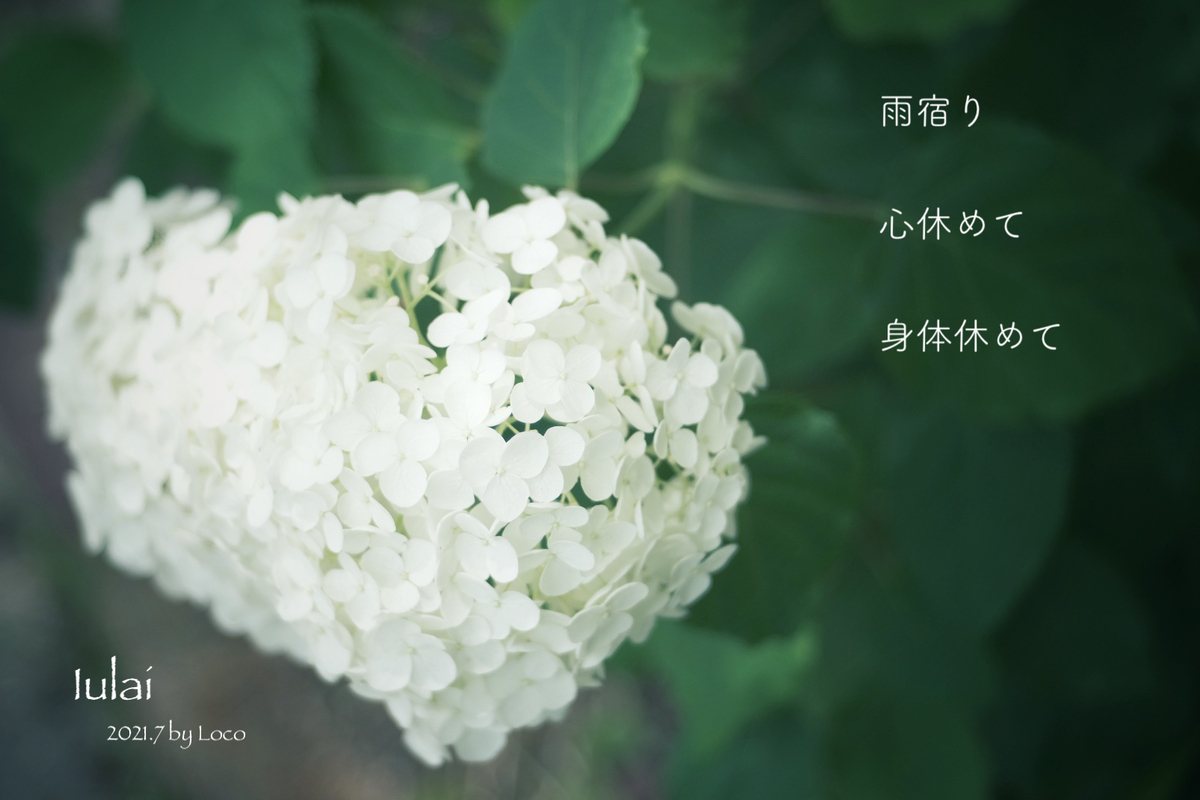 f:id:Locola:20210803110453j:plain
