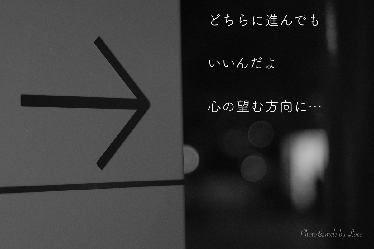 f:id:Locola:20210822232813j:plain