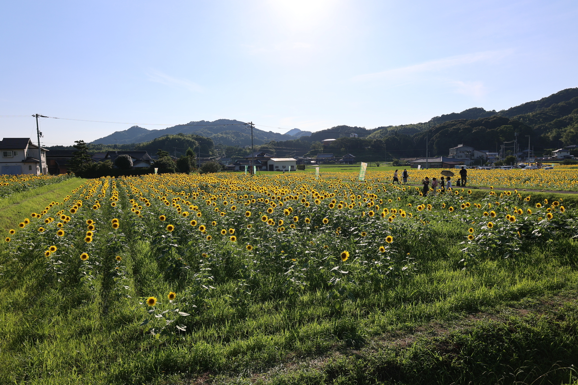 f:id:Logosuke:20210711171114j:plain