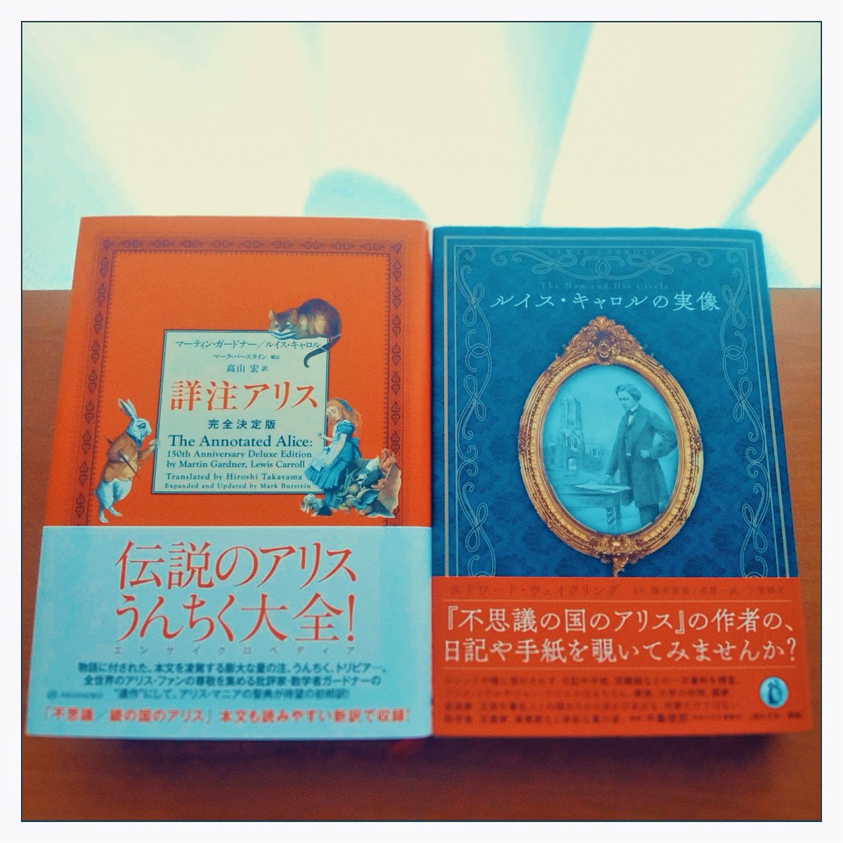 『詳注アリス 完全決定版』亜紀書房 『ルイス・キャロルの実像』小鳥遊書房