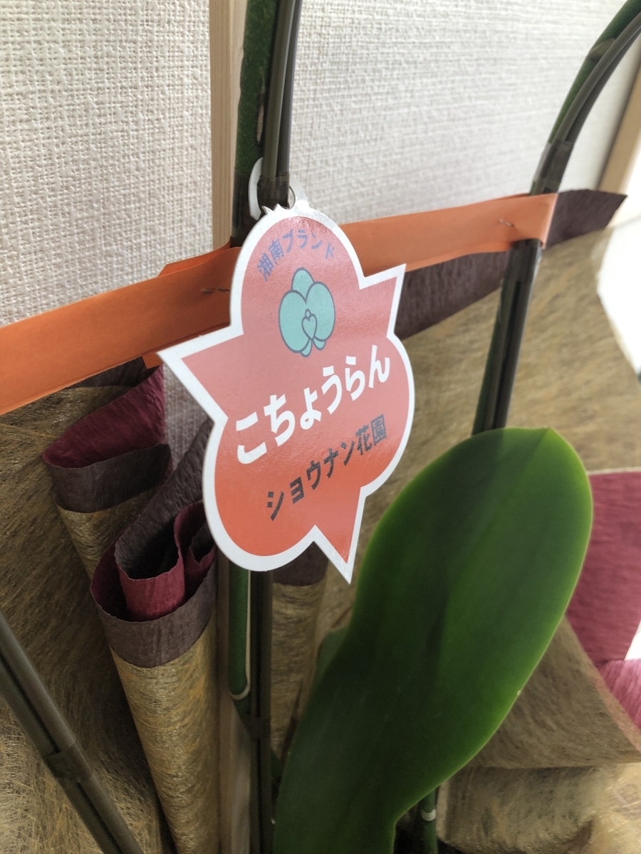 f:id:Lonron:20190501144031j:plain f:id:Lonron:20190501144031j:plain
