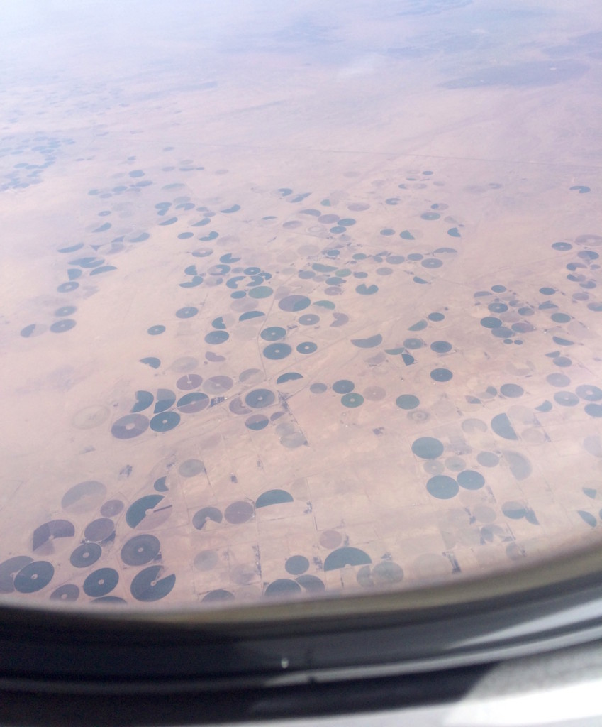 f:id:LooGoGo:20161006084538j:plain