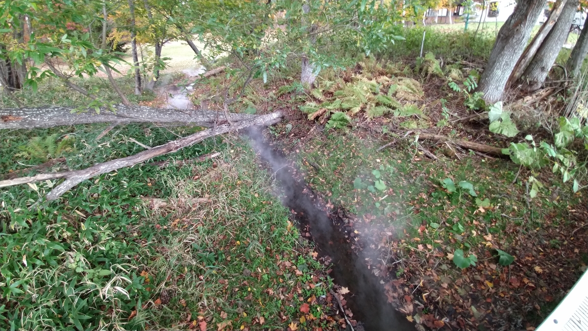 f:id:Loosely:20201015172115j:plain