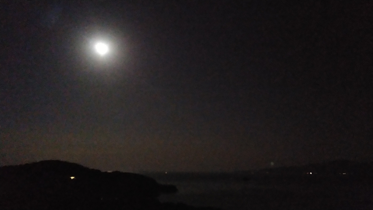 f:id:Loosely:20201031194224j:plain