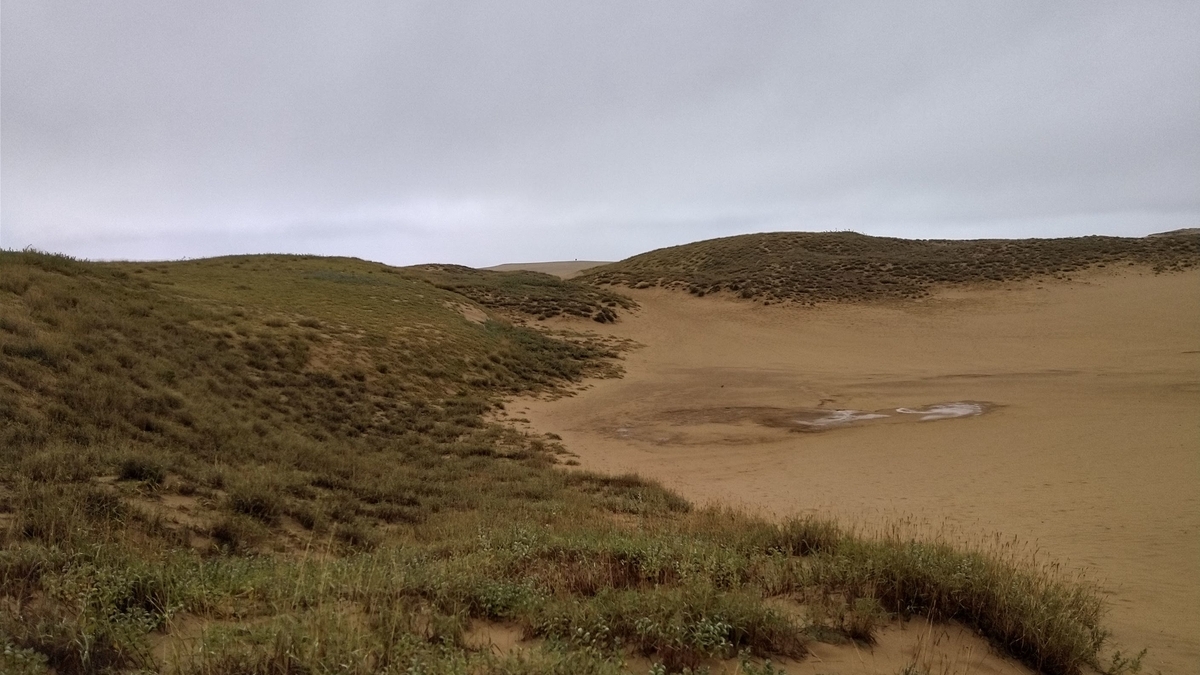 f:id:Loosely:20201211182823j:plain