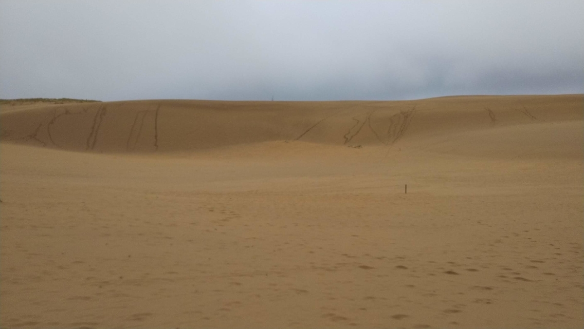 f:id:Loosely:20201211182828j:plain