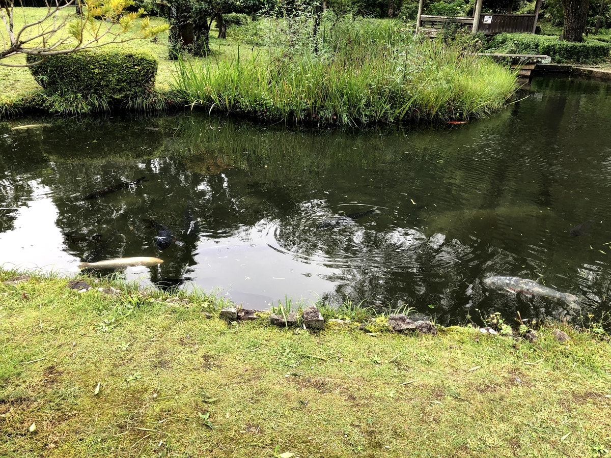 f:id:Loosely:20201213103559j:plain