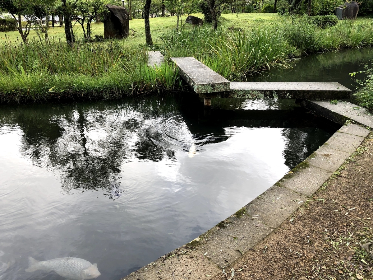 f:id:Loosely:20201213103620j:plain