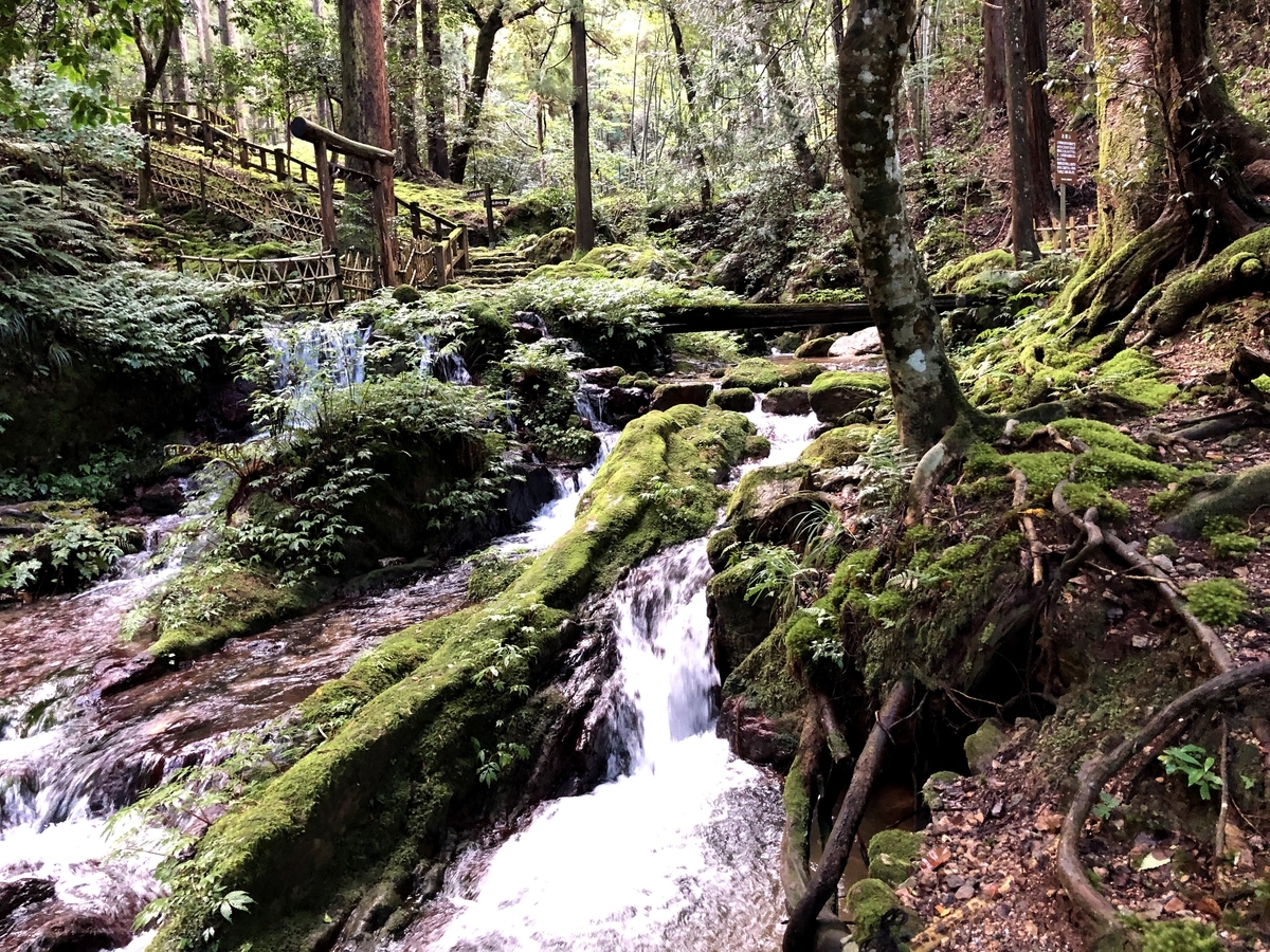 f:id:Loosely:20201213103918j:plain