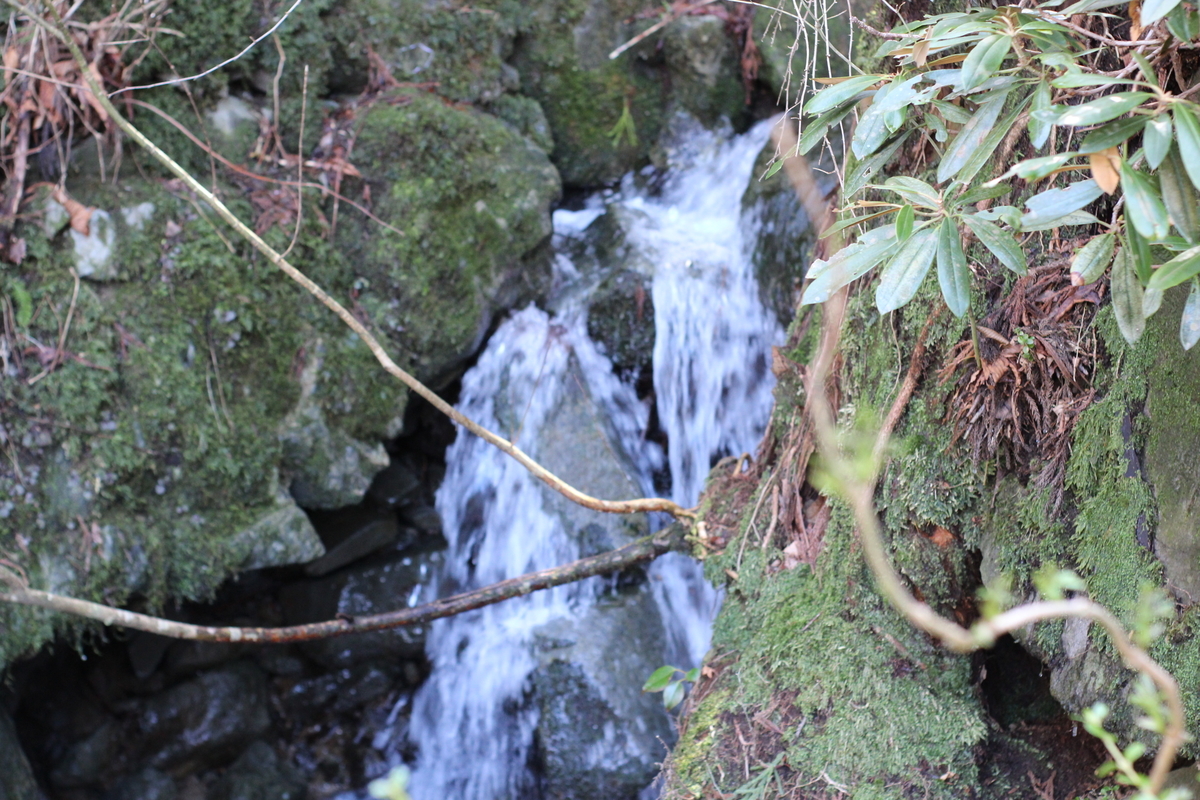 f:id:Loosely:20210316084120j:plain