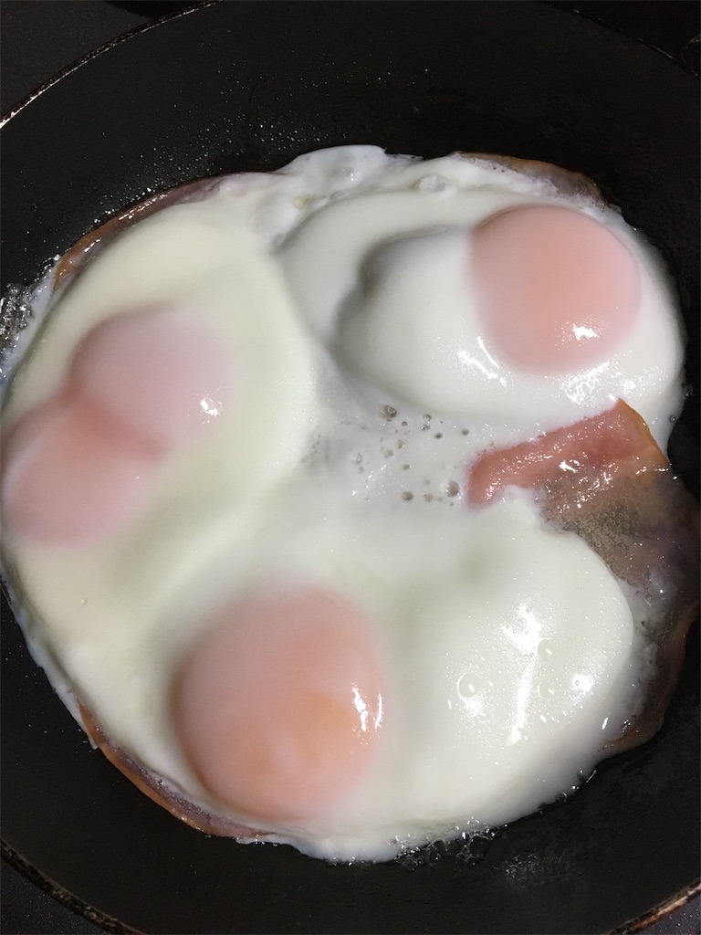 f:id:Lopapapapa:20191213223546j:image