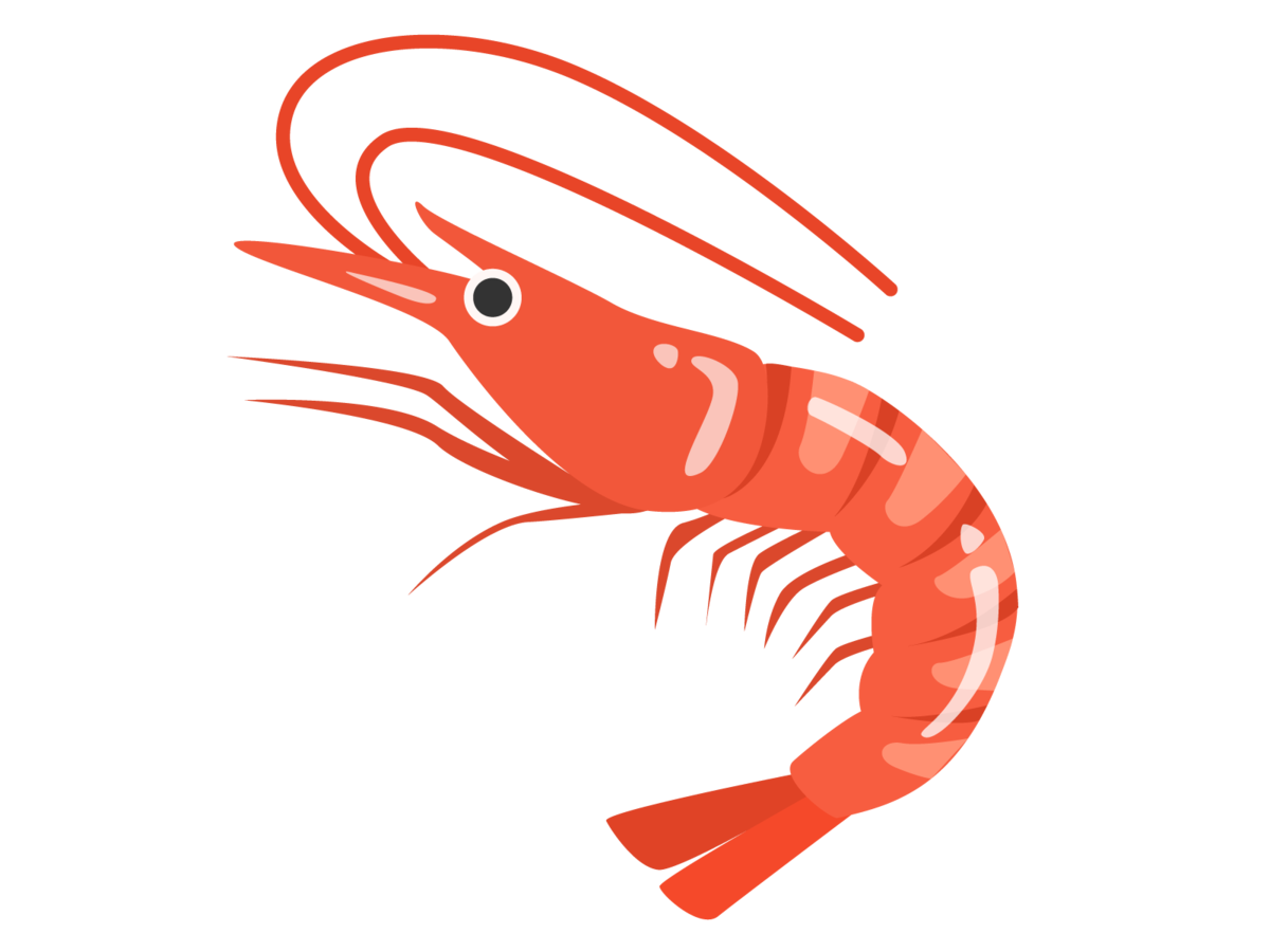 f:id:Lothar:20210218184914p:plain