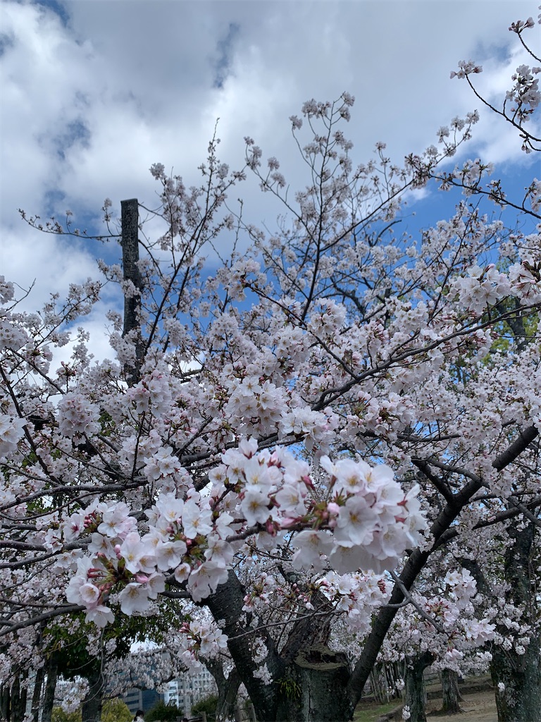 f:id:Lothar:20210325152211j:image