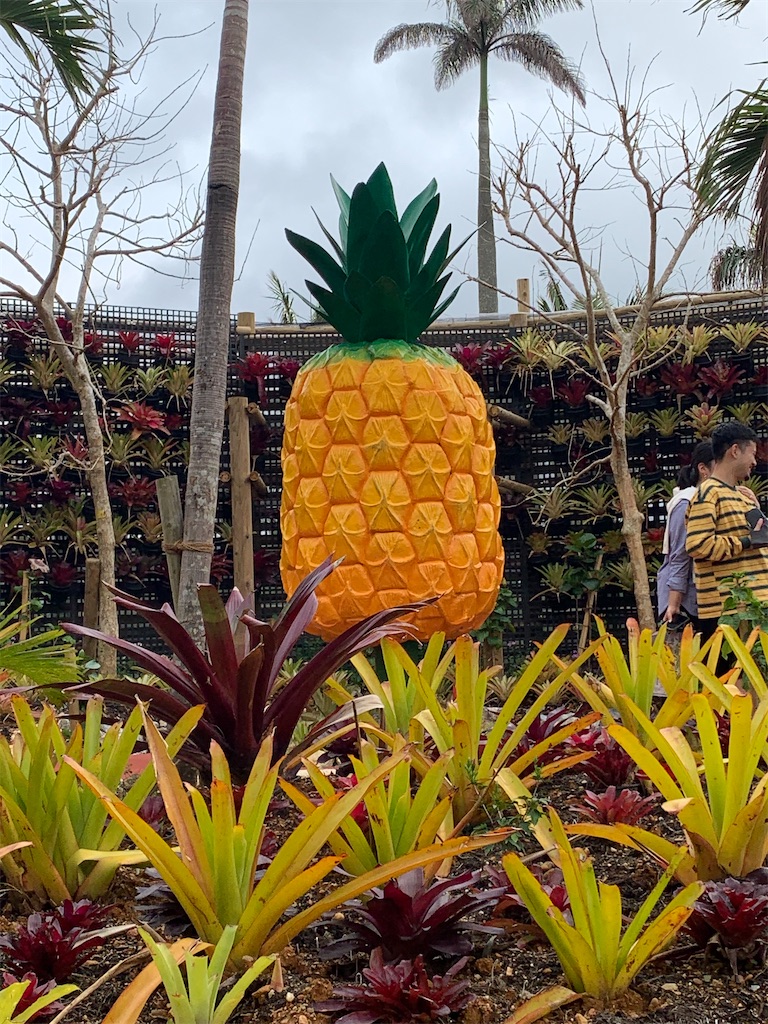 f:id:Lothar:20210406162205j:image f:id:Lothar:20210406162205j:image