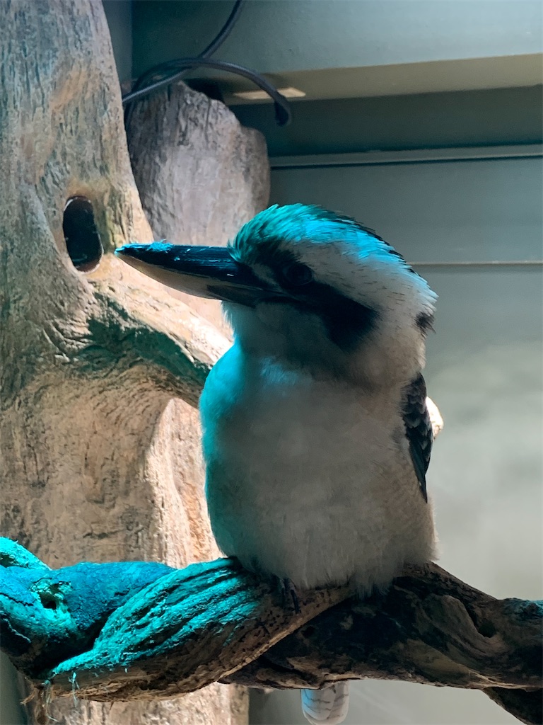 f:id:Lothar:20230323135002j:image