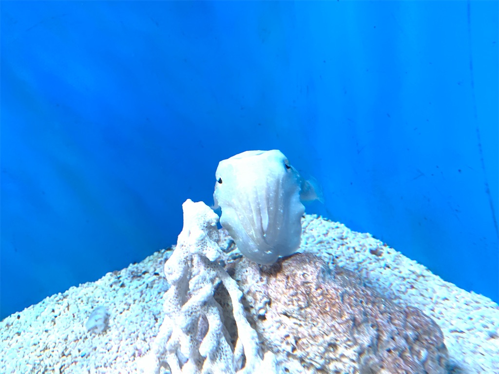 f:id:Lothar:20230805215407j:image f:id:Lothar:20230805215407j:image