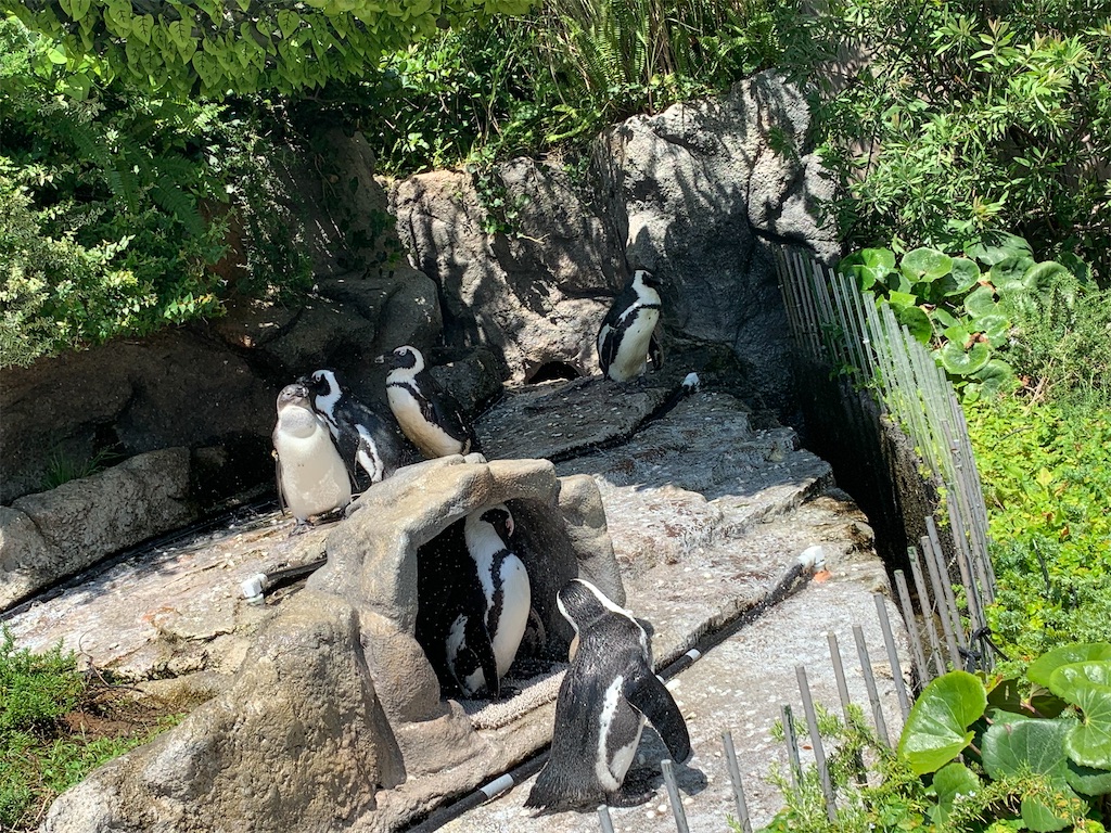 f:id:Lothar:20230805221026j:image f:id:Lothar:20230805221026j:image