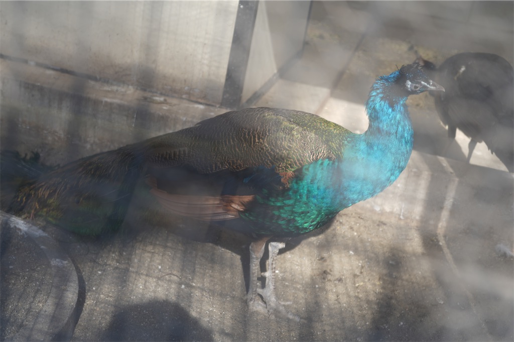 f:id:Lothar:20240204230632j:image