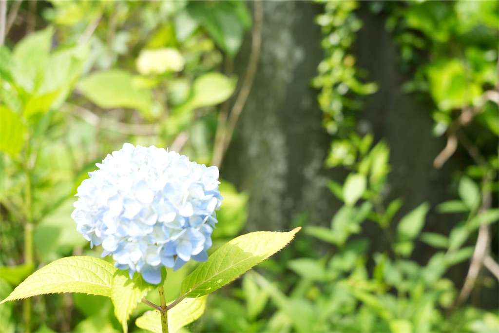 f:id:Lothar:20240526133959j:image f:id:Lothar:20240526133959j:image