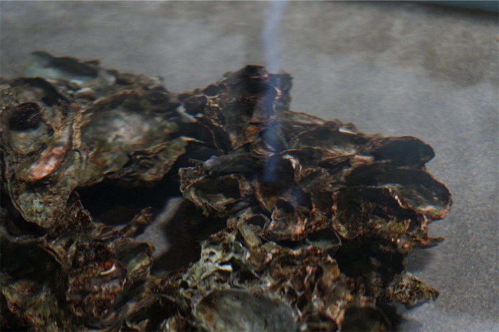 f:id:Lothar:20241216073301j:image
